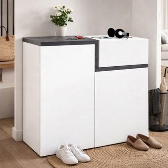 Dmora Dmora - Zapatero Dmaric, Mueble Multiusos Con 2 Puertas Y 1 Puerta Abatible, Zapatero De Entrada, 100% Made In Italy, 80x40h80 Cm, Blanco Brillo Y Piz