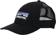 Patagonia P-6 Logo LoPro Trucker Hat