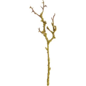 Napa Home & Garden Lichen Green Plastic Branches 17 Set of 6 at Nordstrom