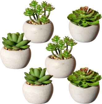 Creativ Green Künstliche Zimmerpflanze