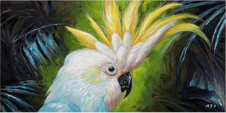 Schubiger M&ouml;bel Bild H&uuml;bscher Kakadu