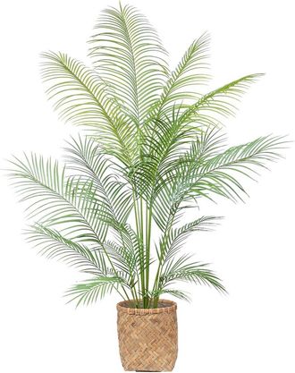 Creative Displays Inc. 5.5Ft Outdoor Uv-Rated Kentia Palm Drop-In Tree With Bamboo-Wrapped Cement Pot