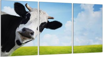 OEM Placa Protectora De Vidrio Para Estufa 3x30x52