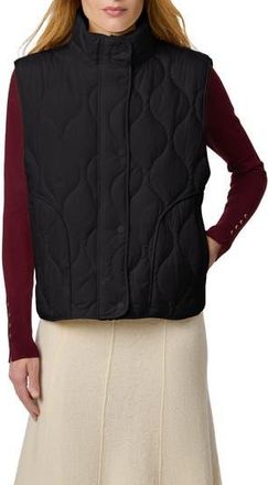 Bernardo Beekman Quilted Puffer Vest in Black at Nordstrom Rack, Size Xx-Large