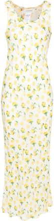 Sportmax Tonale lemon-print maxi dress - women - Silk/Acetate/Silk/Polyamide - 42 - Neutrals