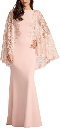 Tadashi Shoji Embroidered Capelet Long Sleeve Gown in Pale Pink at Nordstrom, Size 12