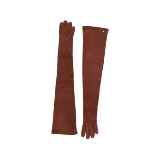 Max Mara Logo-plaque Long Gloves