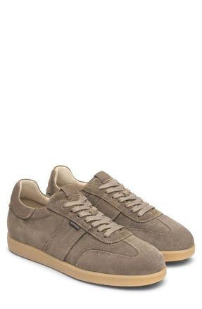 Nero Giardini Low Top Sneaker in Taupe at Nordstrom, Size 7-7.5Us