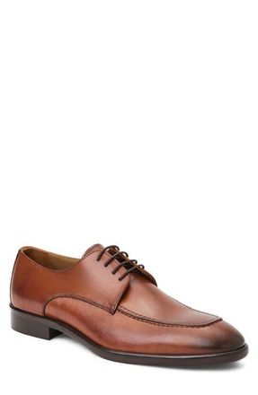 Bruno Magli Paolo Derby in Cognac Calf at Nordstrom, Size 9.5