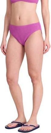 Animal Skye Plain Bikini Bottoms in Purple at Nordstrom, Size 10