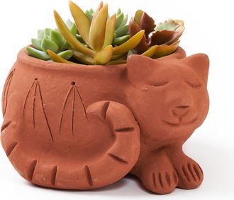 Matr Boomie Rakshana Plant Pot in Cat at Nordstrom