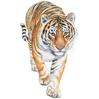 OEM Otras Decoraciones De Pared: Un Juego De Pegatinas De Pared De Tigre - Decoraci&oacute;n De Pared Para Sala De Estar, Dormitorio, Oficina, Cocina - Pegatinas