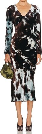 Dries Van Noten Duska Dress In Brown