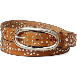 Tory Burch Pierced Studded Leather Buckle Belt in Burnt Umber at Nordstrom, Size X-Large