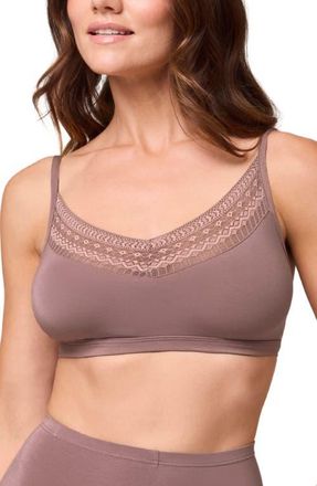 Montelle Intimates Bodybliss Lace Trim Bralette in Cappuccino at Nordstrom, Size Xx-Large