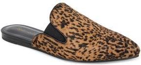 Splendid Liza Pointed Toe Mule in Cheetah at Nordstrom Rack, Size 9
