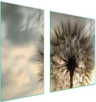 OEM Placa Protectora De Vidrio Para Estufa 90x52 Flor