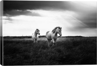 iCanvas Icanvas Bright Beauty-B&W By Andreas Stridsberg Wall Art