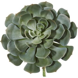 Nearly Natural 13-in Giant Echeveria Succulent Pick Artificial Plant in Green at Nordstrom