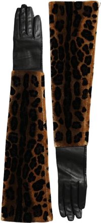 Dolce & Gabbana Elbow Length Handschoenen - Dames - Handschoenen - Veelkleurig - ONE Size - Leer - Accessoires