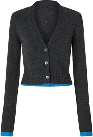 Pinko Pinko, Truien & Vesten, Dames, Grijs, M, Kasjmier, Cardigan