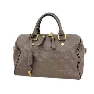 Louis Vuitton Pre-owned Handbags, female, Gray, Size: ONE SIZE Pre-owned Speedy Bandouliere 25 Handbag