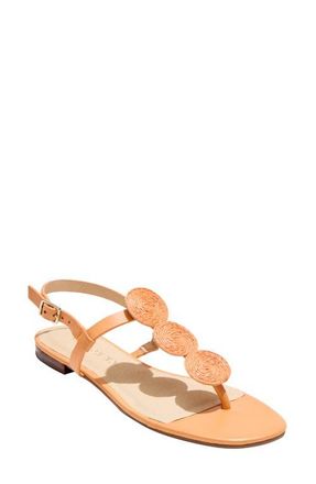Jack Rogers Worth Slingback Sandal in Apricot at Nordstrom, Size 7.5
