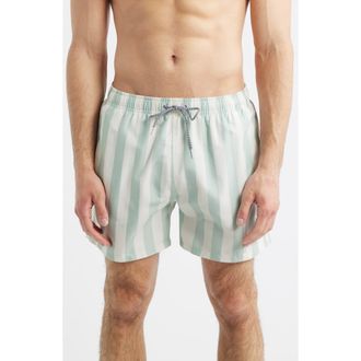 Boardies Stripe Swim Trunks in Green/Cream at Nordstrom, Size X-Large