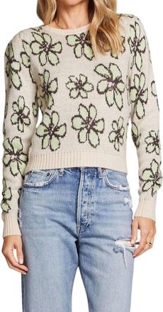 Saltwater Luxe Glory Sweater In Limelight