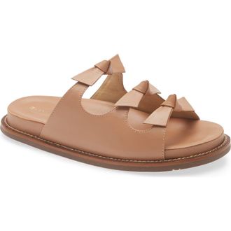 Chocolat Blu Zoya Slide Sandal in Camel Leather at Nordstrom, Size 6.5-7Us