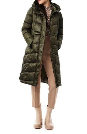 Bernardo Shiny Insulated Puffer Coat in Dark Green at Nordstrom Rack, Size Xx-Large