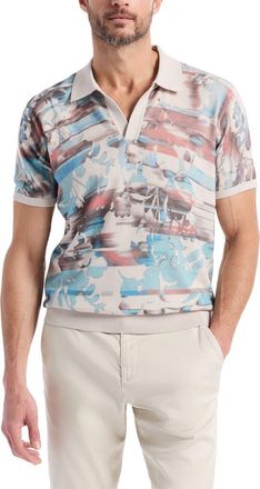 Robert Graham Ordale Johnny Collar Cotton Sweater Polo in Multi at Nordstrom, Size Xxx-Large