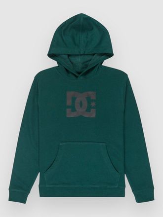 DC Star Kids Hoodie groen