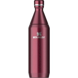 Stanley The All Day Slim 20-Ounce Bottle in Garnet Shine at Nordstrom