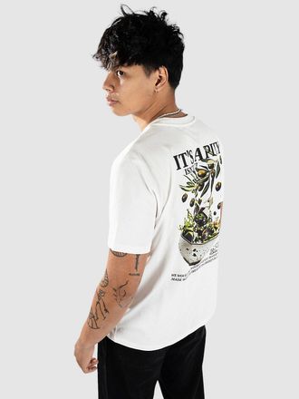 Blue Tomato Pity T-Shirt wit