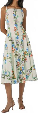 Hutch Caterina Maxi Dress In Multi Folksy