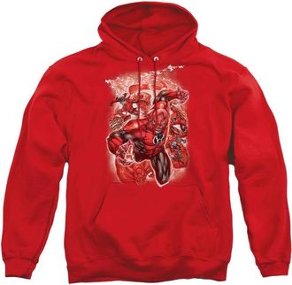 Gildan Green Lantern Red Lanterns 1 Adult Pull Over Hoodie / Hooded Sweatshirt