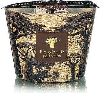 Baobab Max 10 Sacred Trees Mankano Scented Candle in Cinnamon/Almond/Cedar Wood at Nordstrom