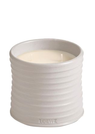Loewe Oregano Candle - Medium 610g, Candle, Mid-intensity Fragrance, Aromatic Perfume of a Mediterranean Herb Garden, Woody and Amber Notes, Medium