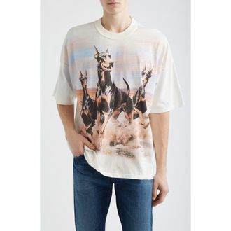 Represent Western Doberman Graphic T-Shirt in Flat White at Nordstrom, Size Medium