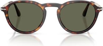 Persol 54mm Polarized Phantos Sunglasses in Havana /Polar Green at Nordstrom