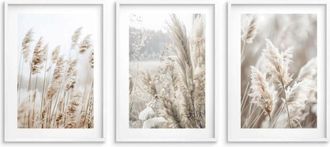 OEM Conjunto De Carteles Con Marcos Para El Dormitorio, Sal&oacute;n, Cuadros De Pared, Hierba Boho