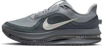 Nike Pegasus Premium Wolf Grey HQ2592-013