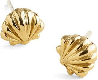 Madewell Demi-Fine Shell Stud Earrings in 14K Gold at Nordstrom