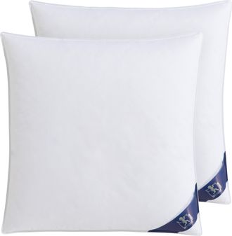 Spessarttraum Federkopfkissen »FIRST CLASS, Einzelkissen oder Doppelpack!« Füllung: 70% Federn / 30% Daunen, Klasse 1, Downpass zertifiziert 2 Stk. tlg. hergestellt