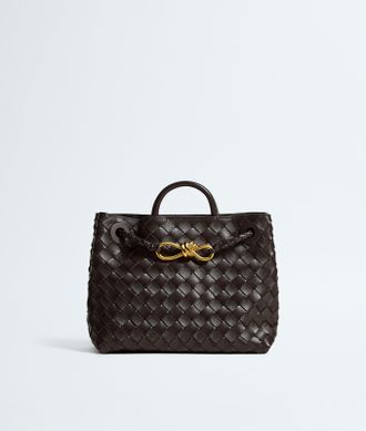 Bottega Veneta Small Andiamo - Bottega Veneta