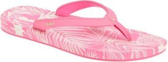 Olukai Uiki Water Resistant Flip Flop in Punch Pink/palm at Nordstrom, Size 12