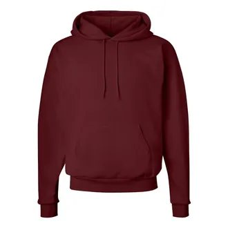Hanes Ecosmart Hooded Sweatshirt