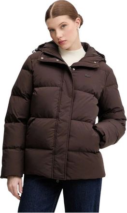 Lacoste Jassen, Dames, Bruin, L, Leer, Donsjack