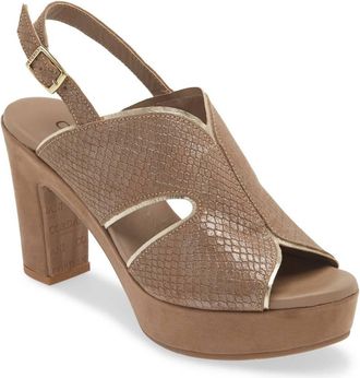 Cordani Womens Toni Slingback Sandal In Fango Shimmer